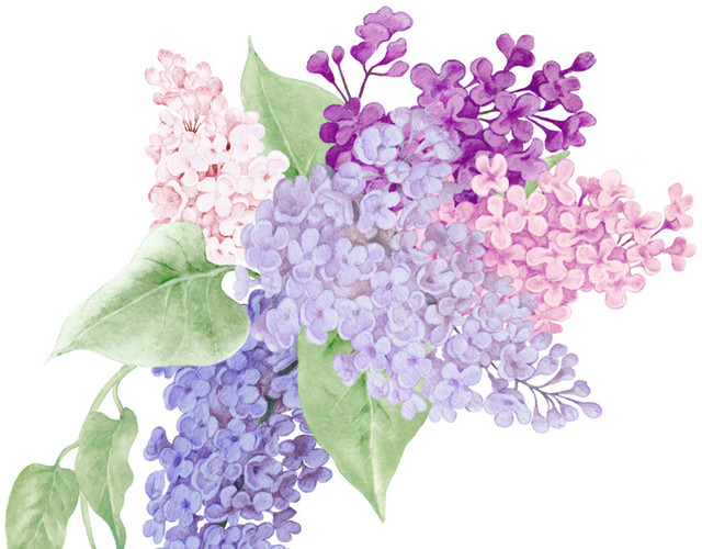 彩色花簇花团素材
