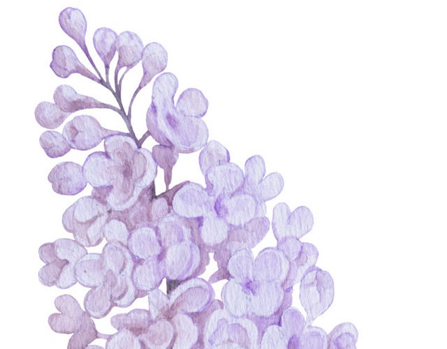 紫色花簇花团紫藤花素材