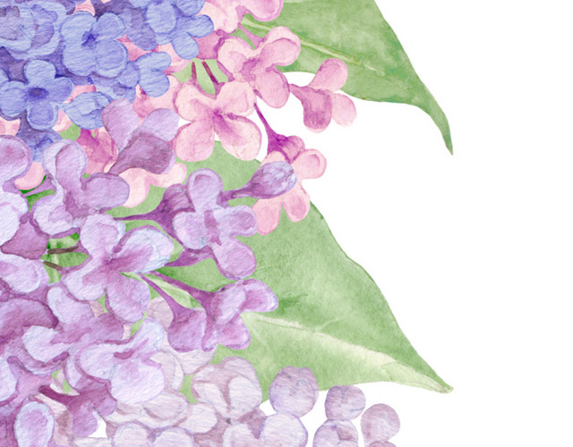 彩色花簇花团边侧素材