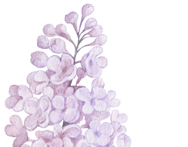 紫色花簇花团素材