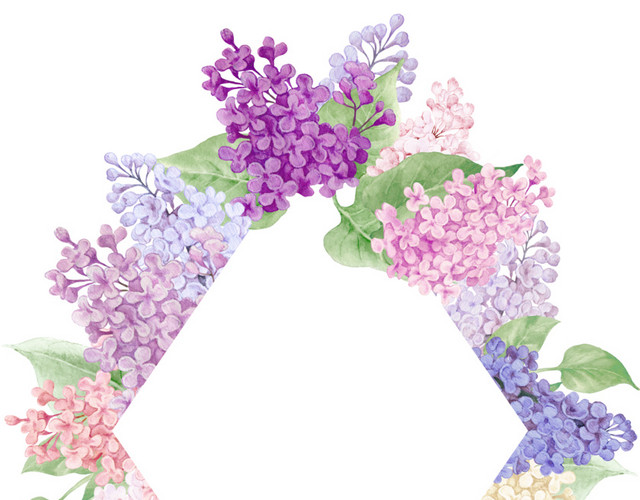 彩色花簇花团菱形外框素材