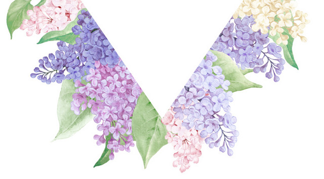 彩色花簇花团菱形外框素材