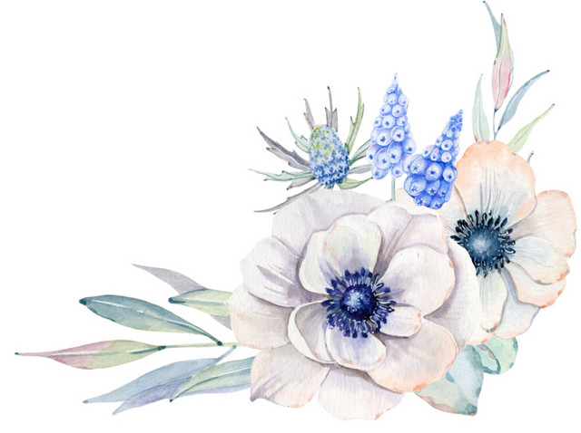 彩绘花朵花叶素材