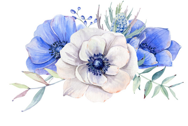 彩绘花朵花叶素材