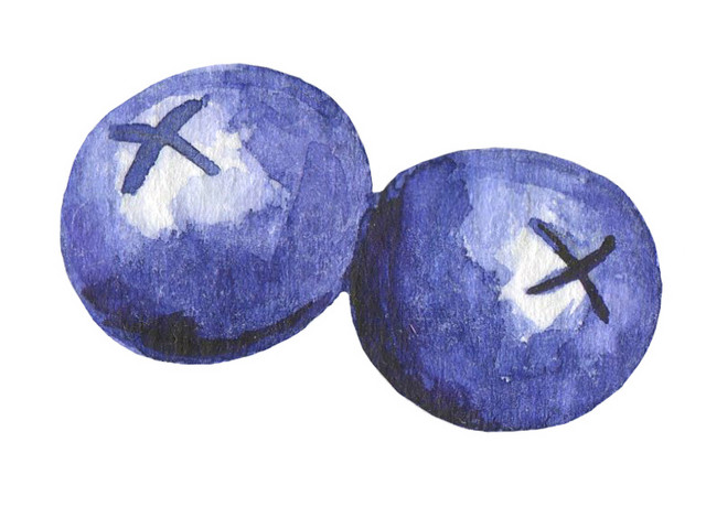 简笔画蓝色水果蓝莓素材