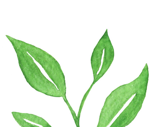 绿色墨痕叶子涂料植物素材