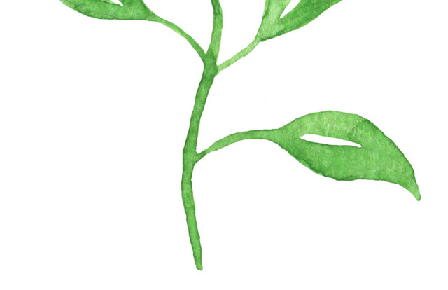 绿色墨痕叶子涂料植物素材