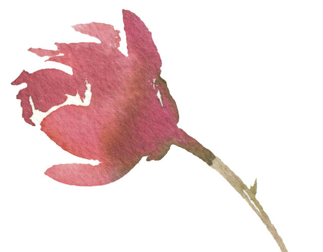 红色墨痕涂料花瓣花朵素材