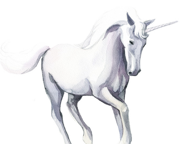白色动物角马素描素材