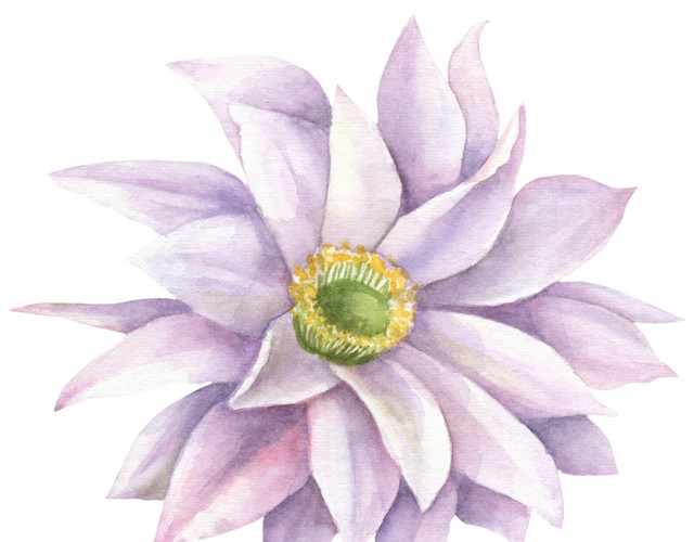 浅紫色花瓣花心素材