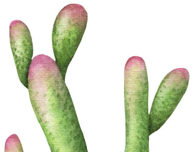 仙人掌植物素材