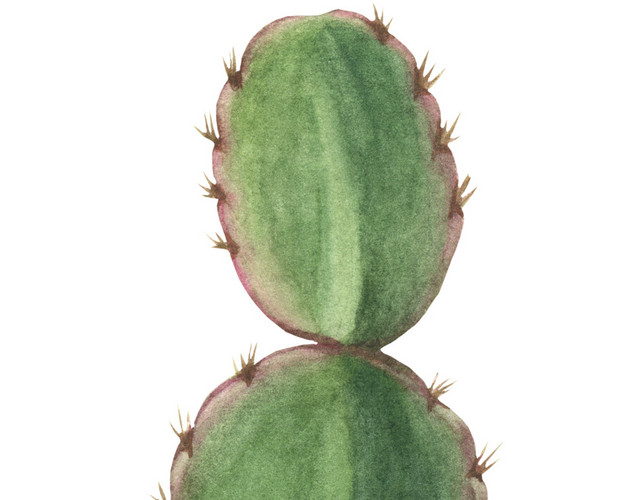 绿色墨痕植物仙人掌素材
