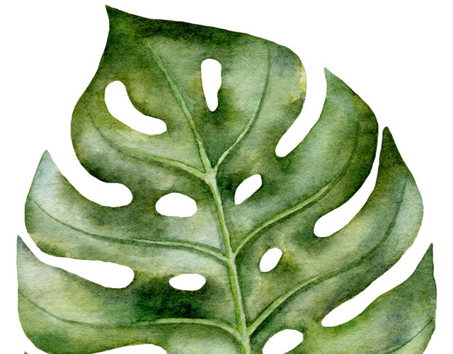 绿色多边形叶子植物根茎素材
