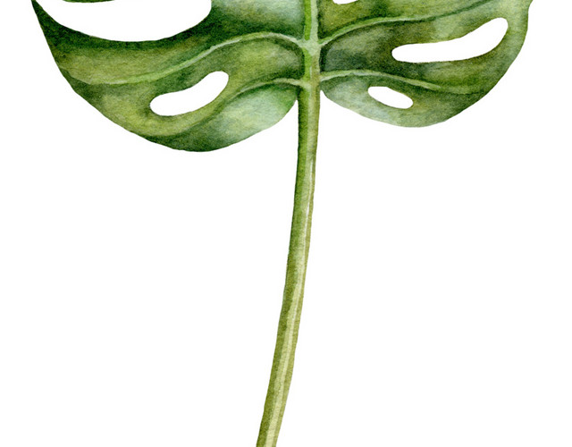 绿色多边形叶子植物根茎素材
