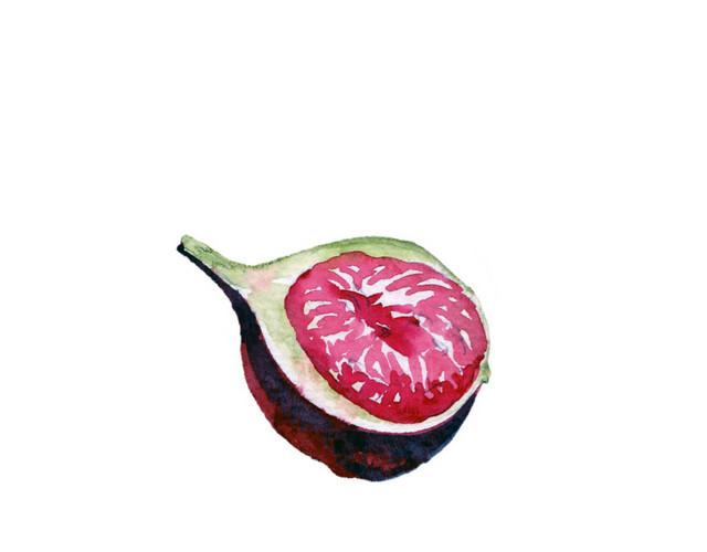 彩色无花果植物果肉素材