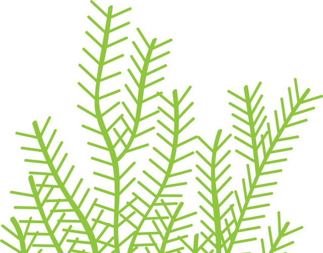 绿色水草手绘素材