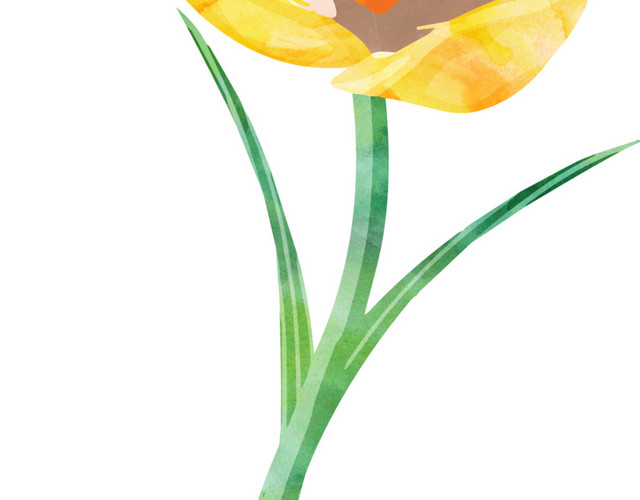 黄色花卉