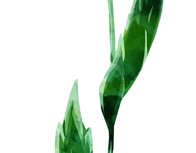 彩色花卉矢量元素蓝花