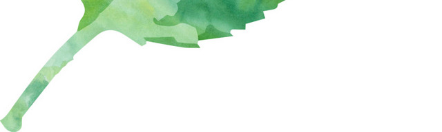 矢量元素绿植树叶