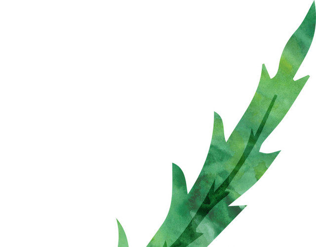 彩色花卉矢量元素海草