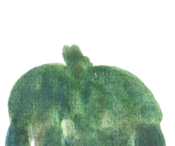 彩色花卉矢量元素苦瓜