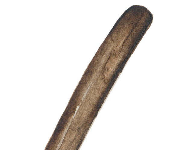卡通手绘彩色矢量元素