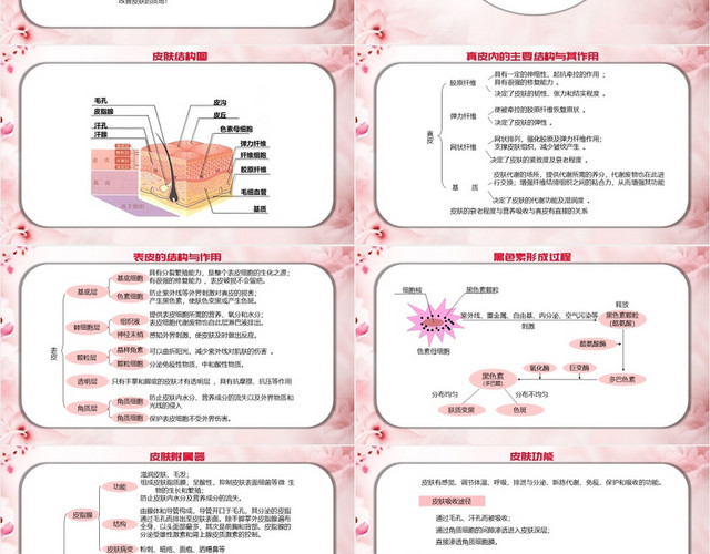 粉色简约风皮肤美容专业知识培训资料皮肤科护理查房PPT模板