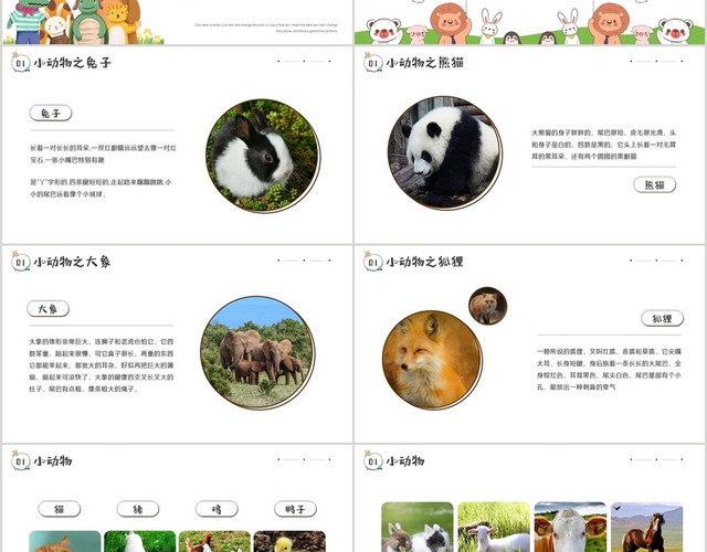 白色卡通风格认识小动物PPT模板