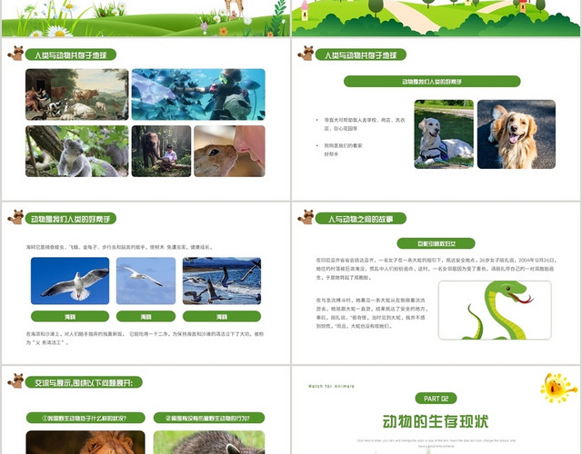 绿色清新风格保护动物从我做起PPT模板