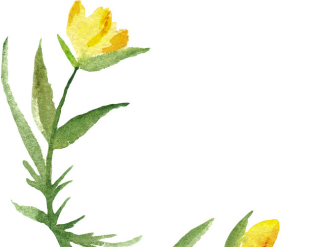 小黄花矢量素材