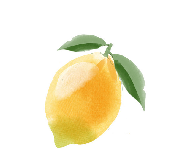 柠檬矢量素材