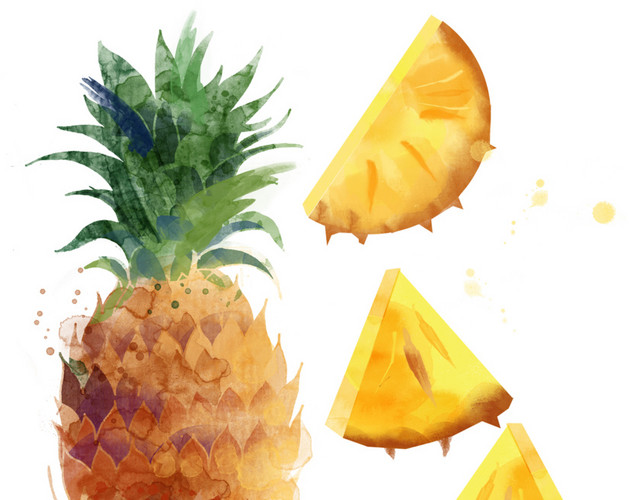 菠萝矢量素材