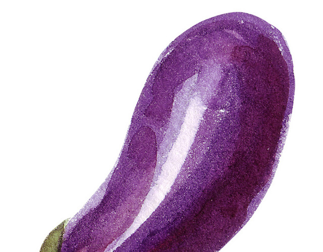茄子手绘矢量素材