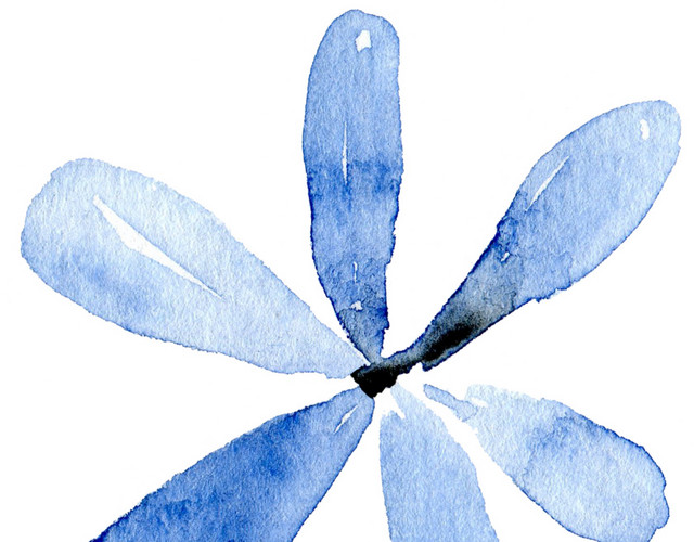 蓝色小花手绘