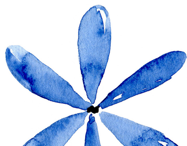 蓝色小花手绘