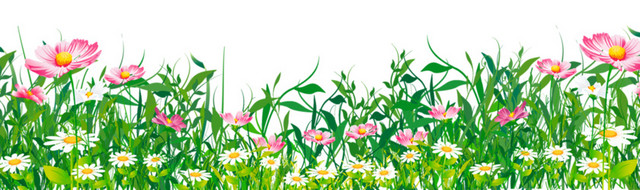 绿色植物素材