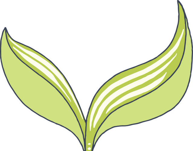 绿色清新植物发芽插画素材