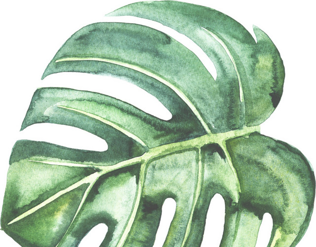 绿色清新植物树叶水彩插画素材