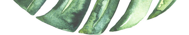 绿色清新植物树叶水彩插画素材