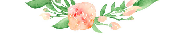 彩色手绘植物花环插画素材