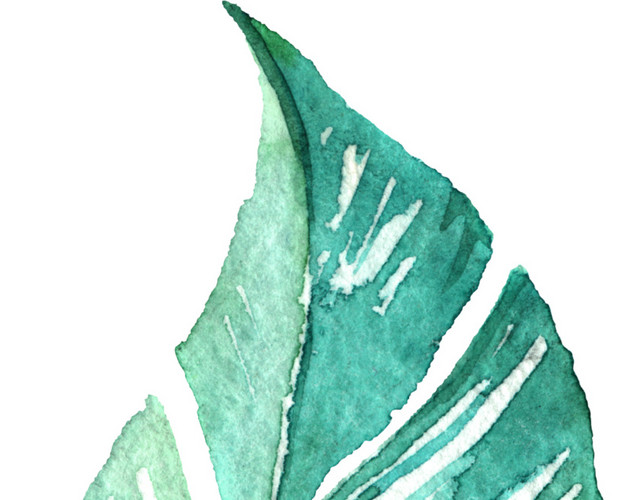 绿色清新植物叶子水彩插画素材