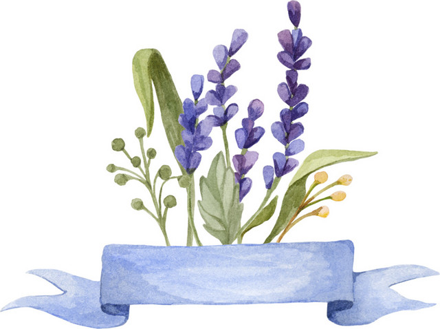 紫色清新植物花朵水彩插画素材