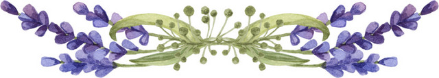紫色清新植物花朵水彩插画素材