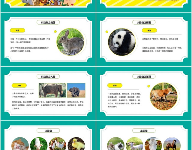 绿色卡通风格认识小动物PPT模板