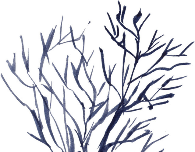 手绘植物树干水彩插画