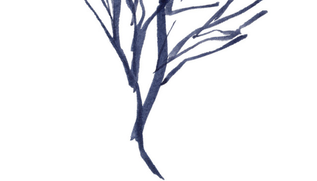手绘植物树干水彩插画