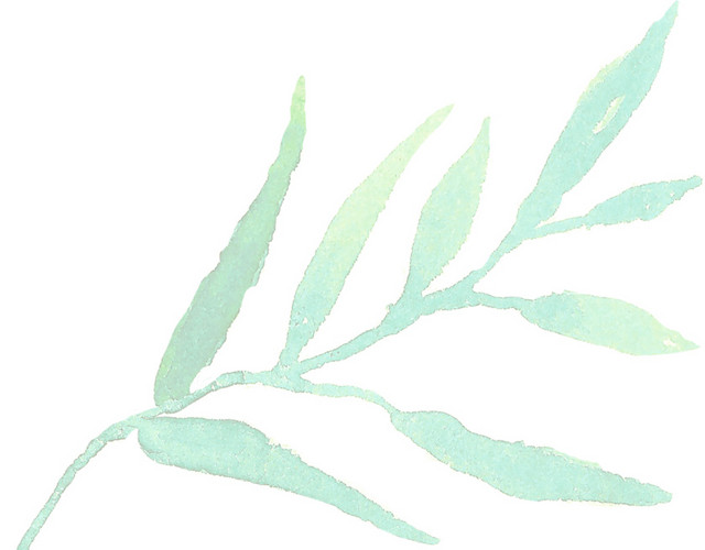 水彩植物叶子素材