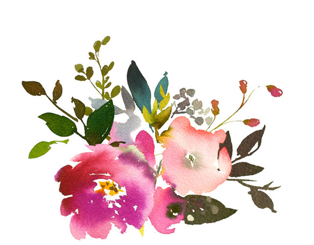 水彩植物花卉素材