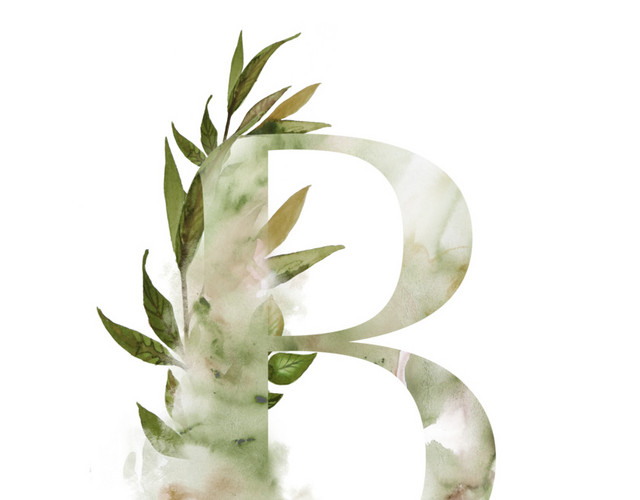 水彩字母植物素材
