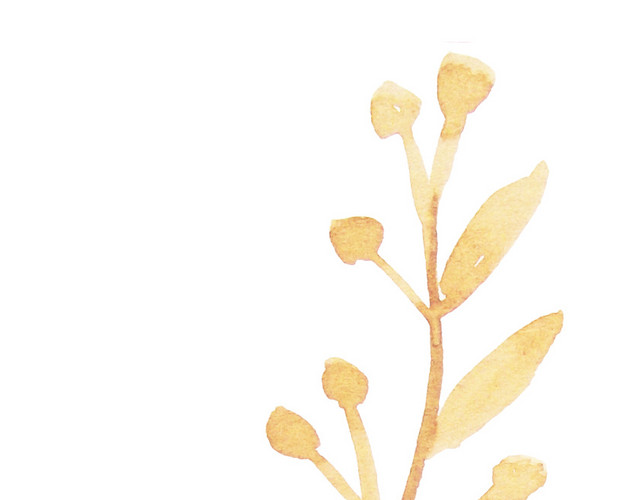 水彩植物叶子素材